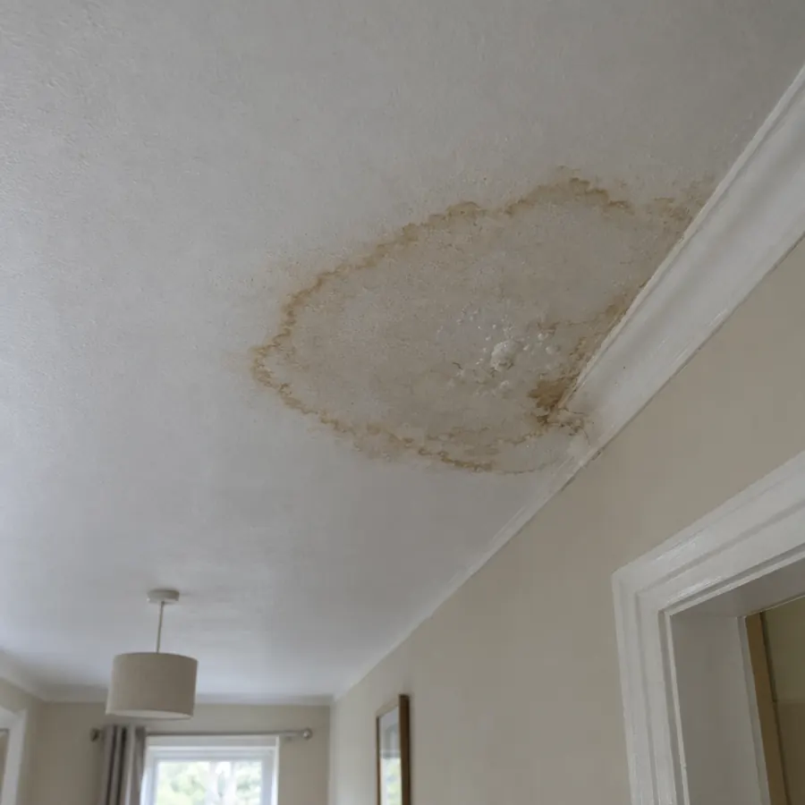 A brown-edged water stain spreading across a hallway ceiling